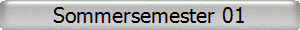 Sommersemester 01